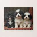 Suche nach niedliche welpen puzzle Natur