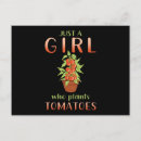 Suche nach tomatoe postkarten Gärtner