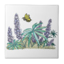 Suche nach lupine fliesen Pflanze
