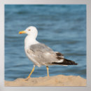 Suche nach seegras poster Sandsand