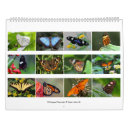 Suche nach schmetterling kalender Bunt
