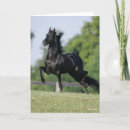Suche nach morgan horse postkarten Bob sprache