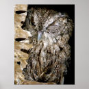 Suche nach winken poster Tiere