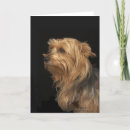 Suche nach profil karten Hunde