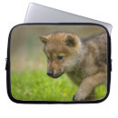 Suche nach wölfe laptop schutzhüllen Wild lebende tiere