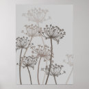 Suche nach petersilie poster Blume