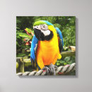 Suche nach papageien leinwandbilder Tropisch