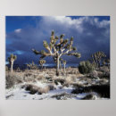 Suche nach joshua baum poster California