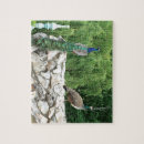 Suche nach peacock puzzle Schön