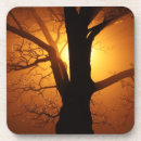 Suche nach baum untersetzer Landschaft