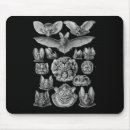 Suche nach wissenschaftlich mousepads Vintag