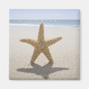 Suche nach cape cod magnete Ferien