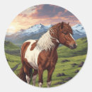 Suche nach isländisches pferd aufkleber Pony