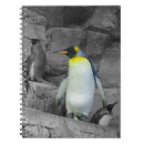 Suche nach kaiser kleine notizbücher Pinguin