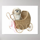 Suche nach kinderwagen kunst poster Hund