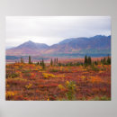 Suche nach denali nationalpark poster Reise
