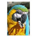 Suche nach macaws kunst Papageien