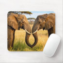 Suche nach afrikanischer elefant mousepads Stoßzähne