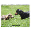 Suche nach jagdhund kalender Dackel