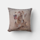 Suche nach weimaraner kissen Rasse