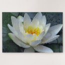 Suche nach wasserlilie puzzle Blume