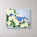 Suche nach blaues jay leinwandbilder Vogelvogel