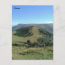 Suche nach cymru postkarten Wales