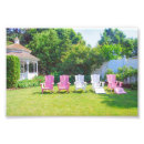 Suche nach taglilien poster Rosa