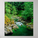 Suche nach blauer wald poster Kanada