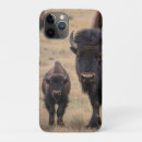 Suche nach bison iphone hüllen Tierwelt