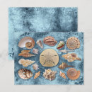 Suche nach beige postkarten Natur