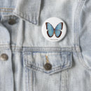 Suche nach blauer schmetterling buttons Natur