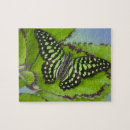 Suche nach entomologie puzzle Schmetterling