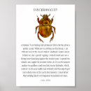 Suche nach beetle poster Bug