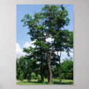Suche nach raub poster Landschaft