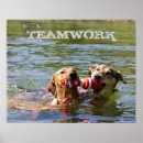 Suche nach teamwork poster Hunde