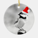 Suche nach singvögel ornamente Weihnachten