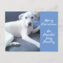 Suche nach hund weihnachten postkarten Einfach