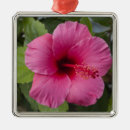 Suche nach oahu ornamente Honolulu