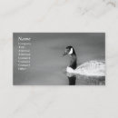 Suche nach gans visitenkarten Beruflich