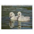 Suche nach schwan kalender Schön