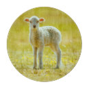 Suche nach schafe schneidebrettchen Wolle