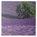 Suche nach lavendelfelder fliesen Landschaft