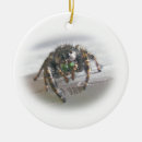 Suche nach spinne ornamente Wanze