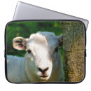Suche nach schafe laptop schutzhüllen Landwirtschaft