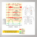Suche nach medizin poster Diagramm