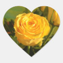 Suche nach fotografie aufkleber Rose