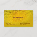 Suche nach löwenzahn visitenkarten Natur