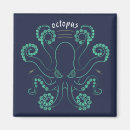 Suche nach tintenfisch magnete Tiere