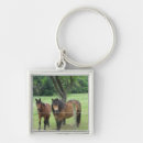 Suche nach weiden schlüsselanhänger Pferd